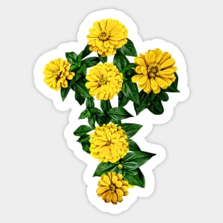 Zinnia Cross Sticker